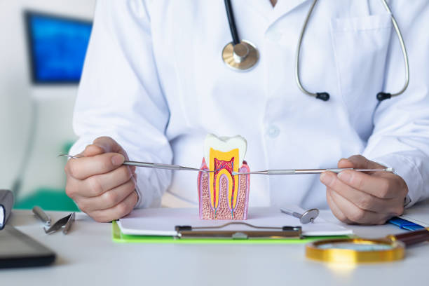 Best Dental Abscess Treatment in Rosemount, OH